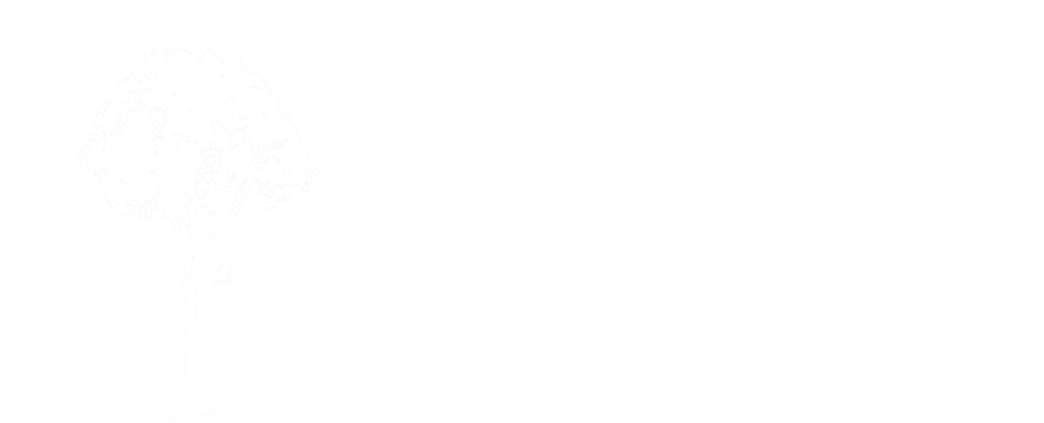 Jenkins Tree Care gallery 3