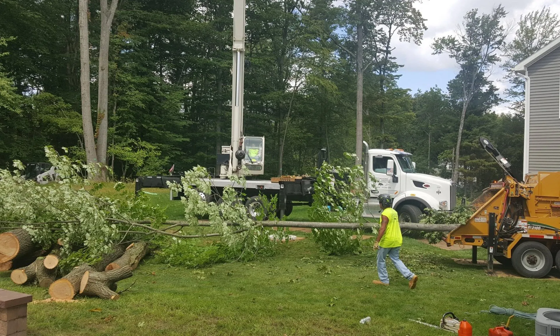 JJ's Professional Tree Service and Stump Removal, Inc. gallery 6