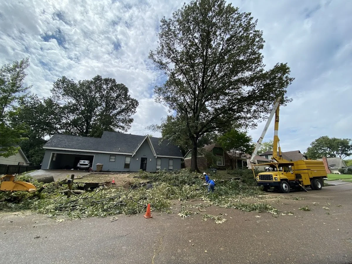 JL’S Tree Services LLC