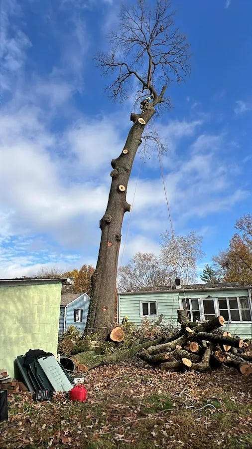 JMC Tree Service LLC