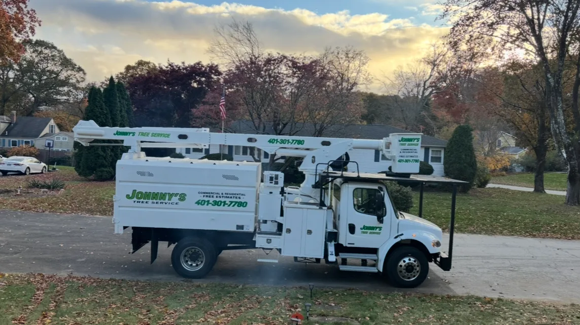 Johnny’s Landscaping And Tree Service (Johnston, RI): How to Compare Tree Removal, Stump Grinding, and Trimming Scopes