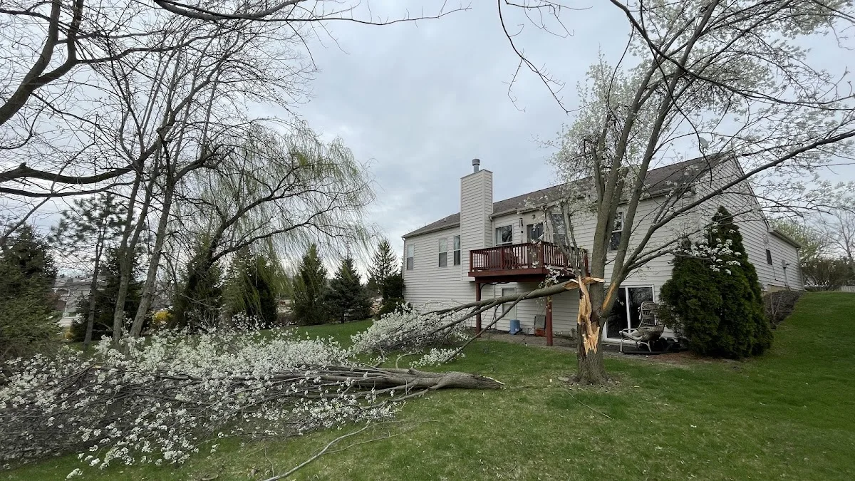 JT Tree Service gallery 2