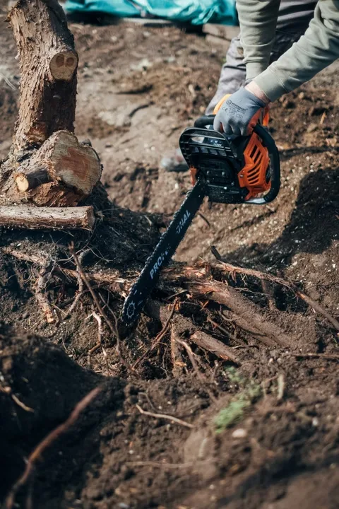 JT Tree Service gallery 8