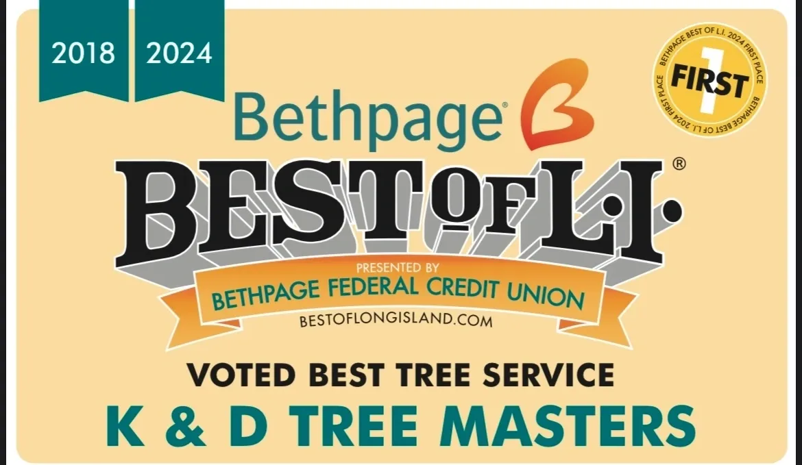 K & D Tree Masters Inc gallery 3