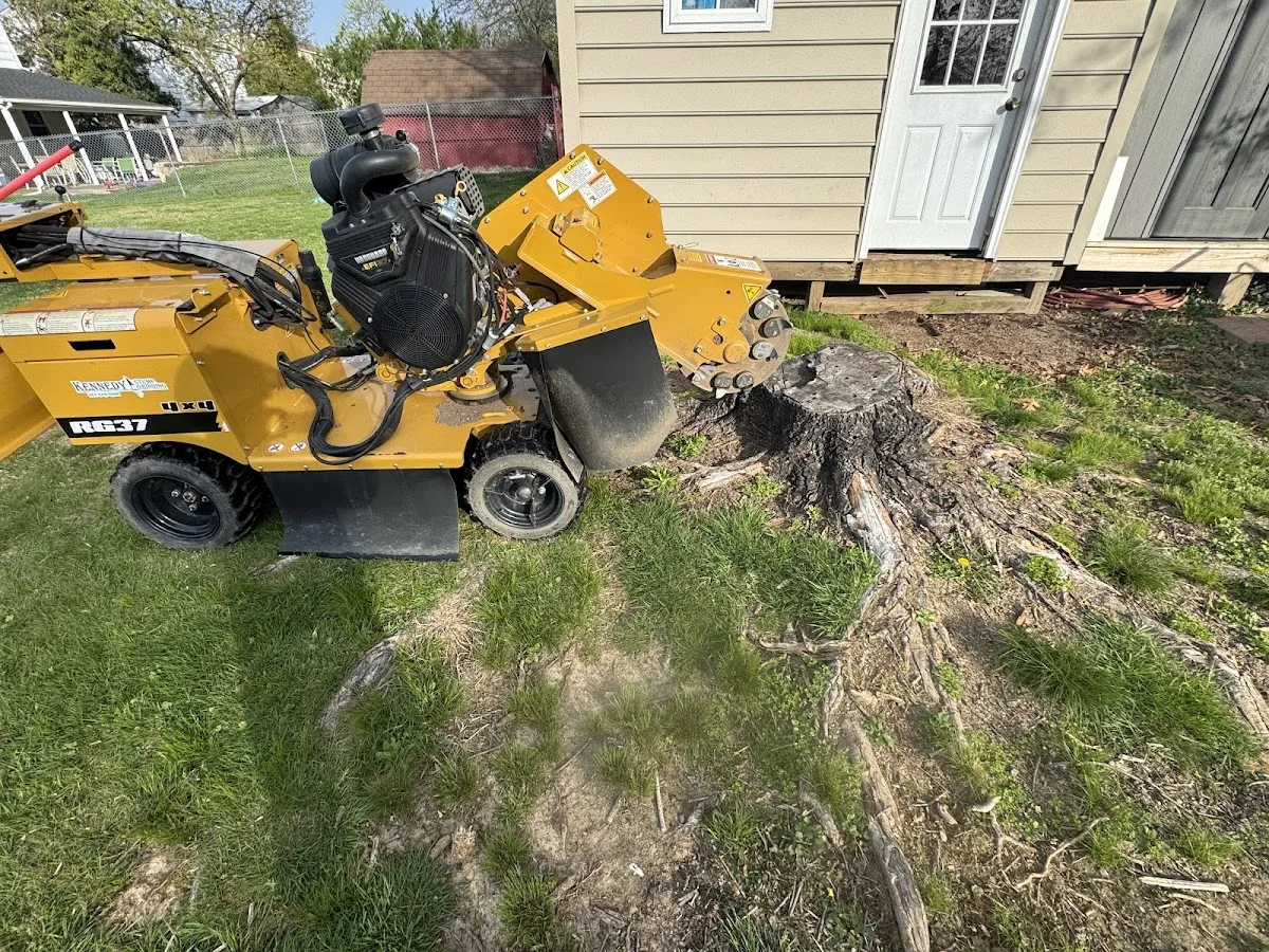 Kennedy Stump Grinding