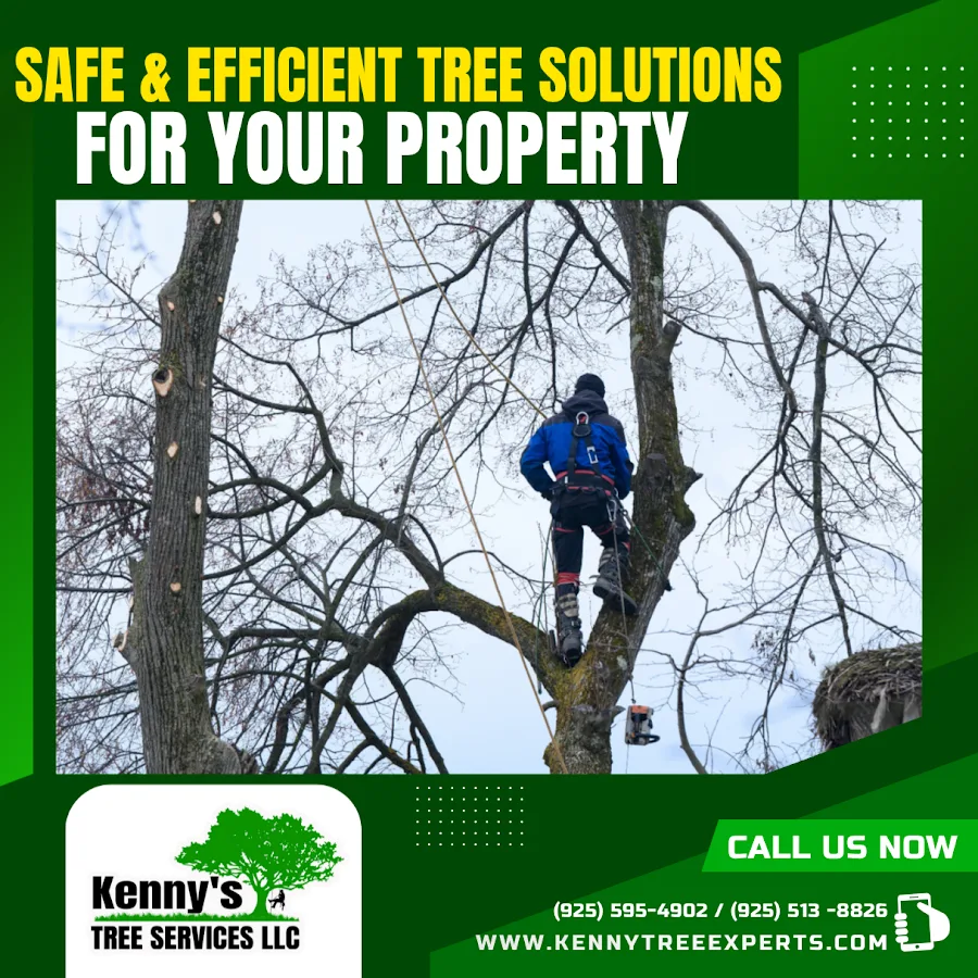 Kenny’s Tree Services LLC