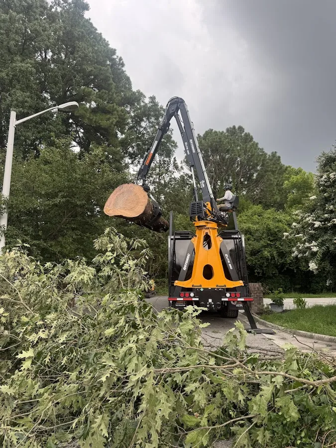 Kono Tree Care