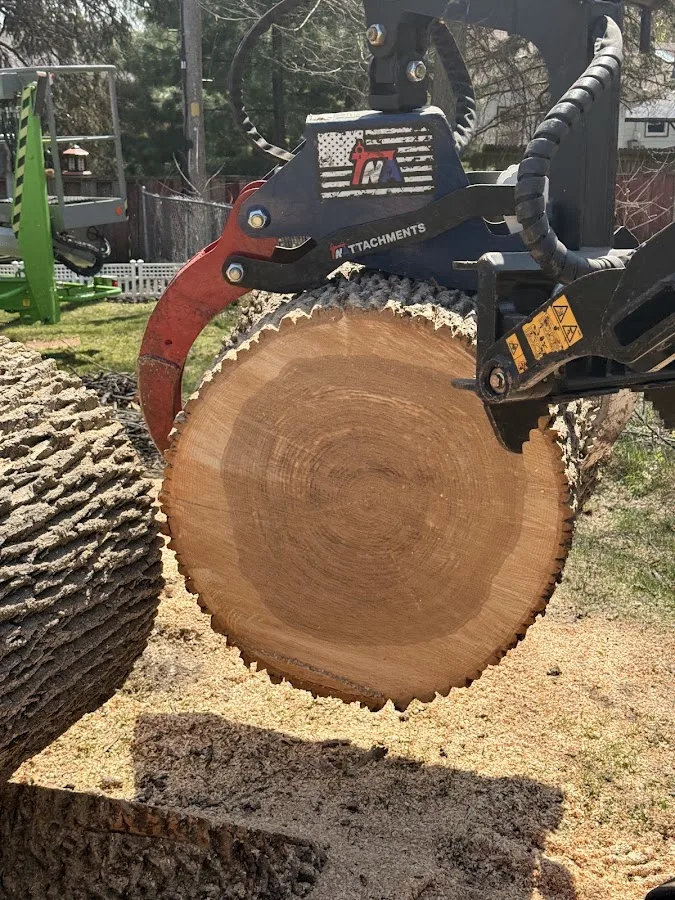 KVN Pro Tree Services LLC