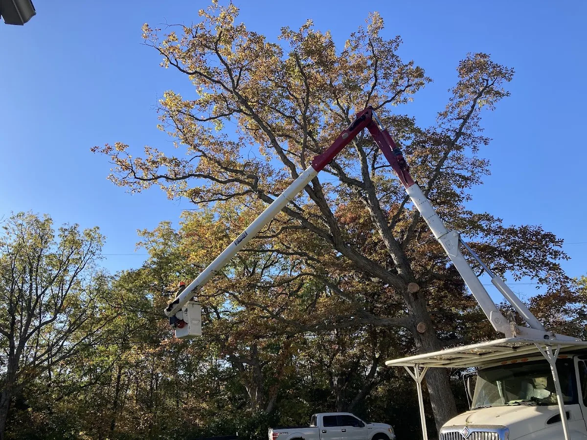 L E Savory Tree & Lawn Services Inc