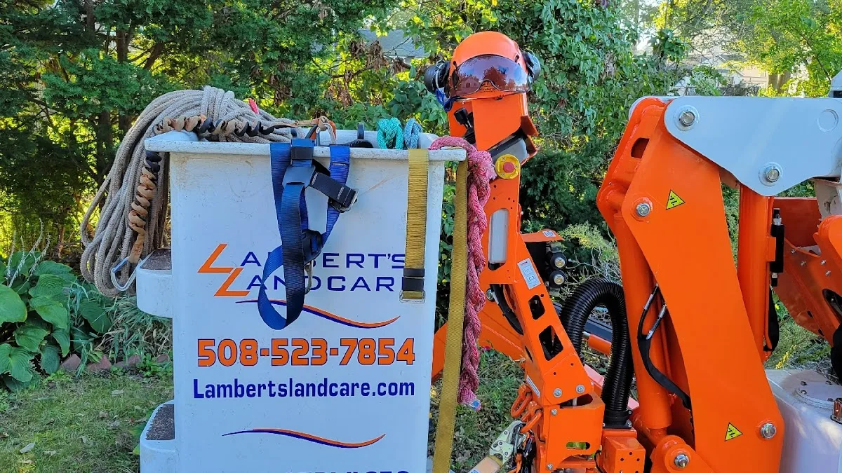Lambert’s Landcare in West Boylston, MA: How to Confirm the Real Scope for Tree Removal & Stump Work