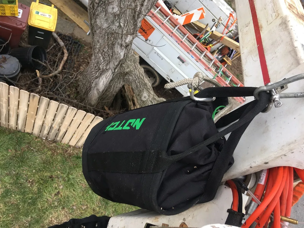 Lehigh Tree Services of Allentown