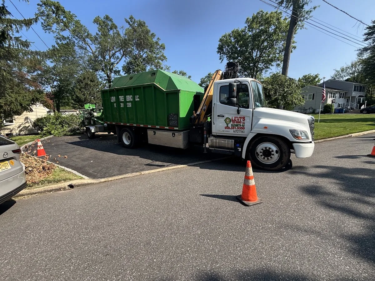 Levi's Tree Service LLC