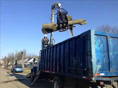 Lexington Tree Service