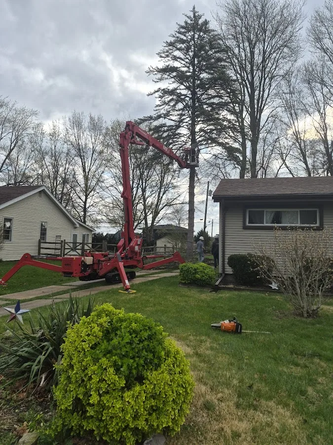 Livingston Tree Service