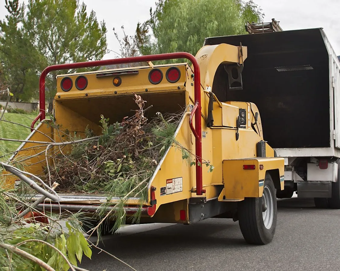 Long Island Tree & Landscape Service, Inc. gallery 2