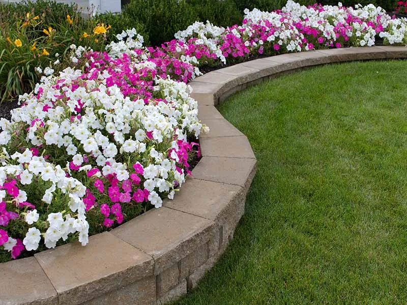 Long Island Tree & Landscape Service, Inc. gallery 4