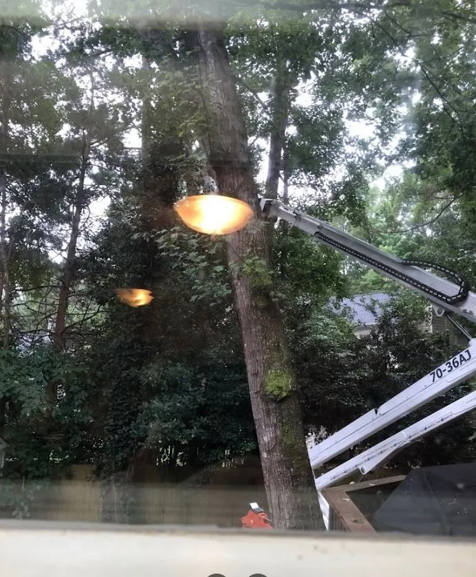 Longhorn Tree Service gallery 7