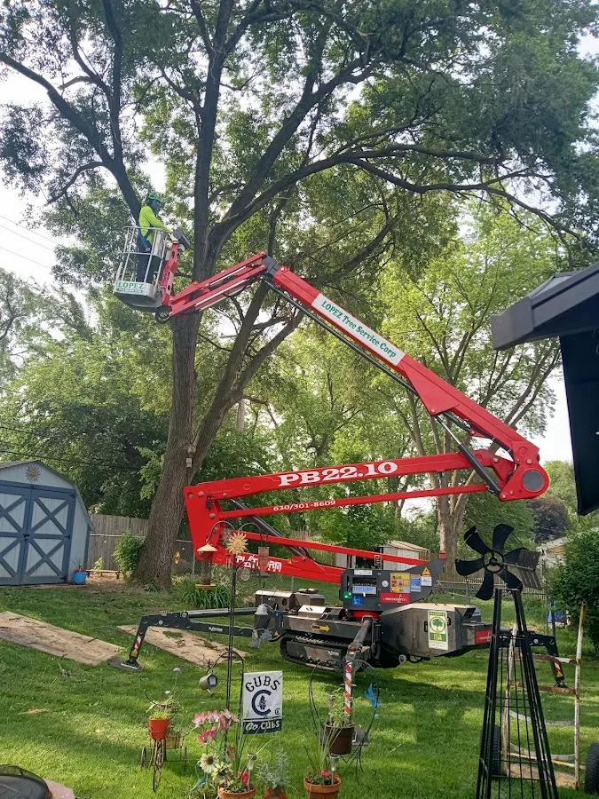 Lopez Tree Service Corp.