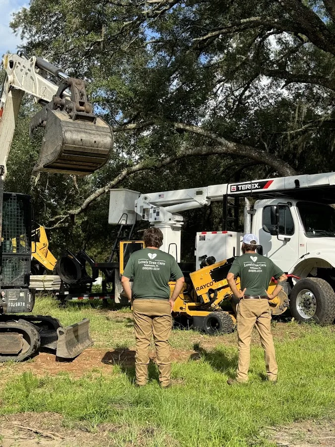 Love's Tree Care work site