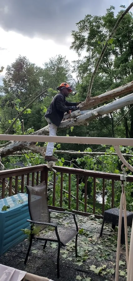Lumberjacks Tree and Landscaping Services