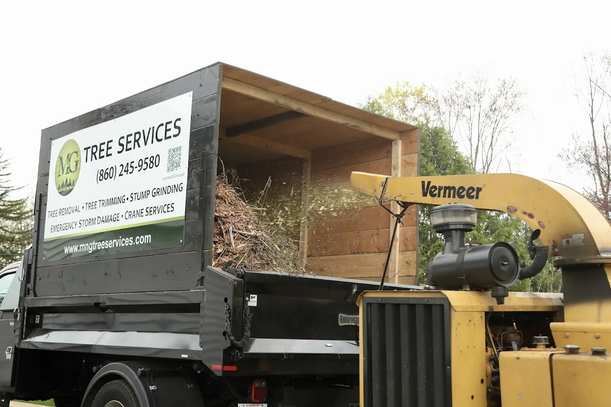 M&G Tree Services (West Hartford, CT): How to Compare Tree Removal, Stump Grinding, and Crane Work Bids