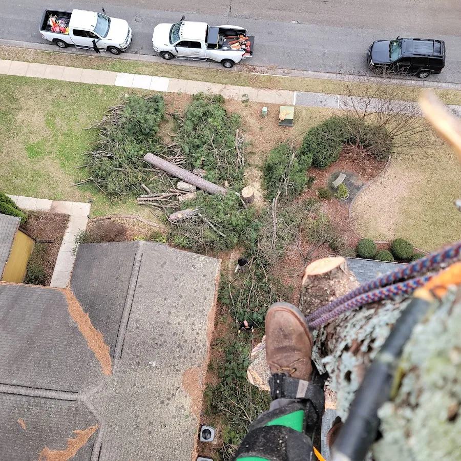 M.J'S TREE SERVICE LLC