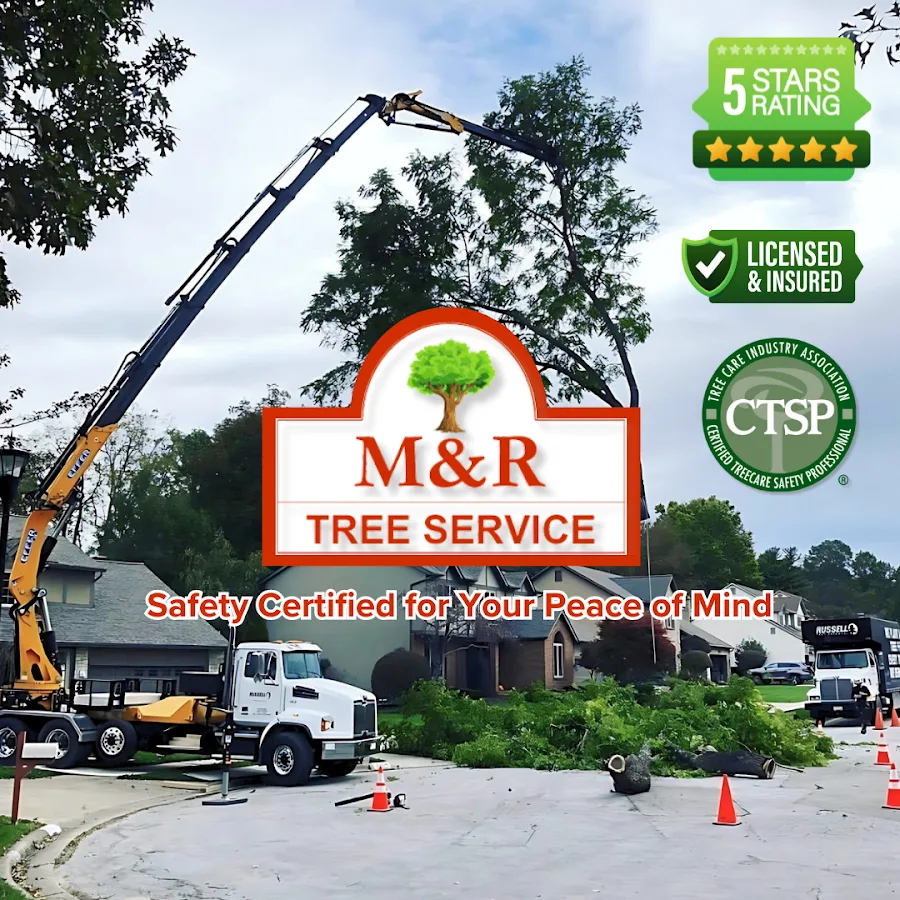 M & R Tree Service gallery 2