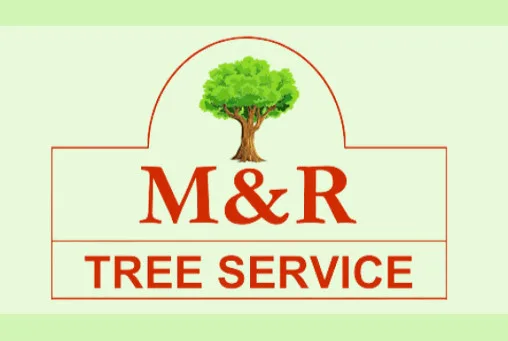 M & R Tree Service gallery 3