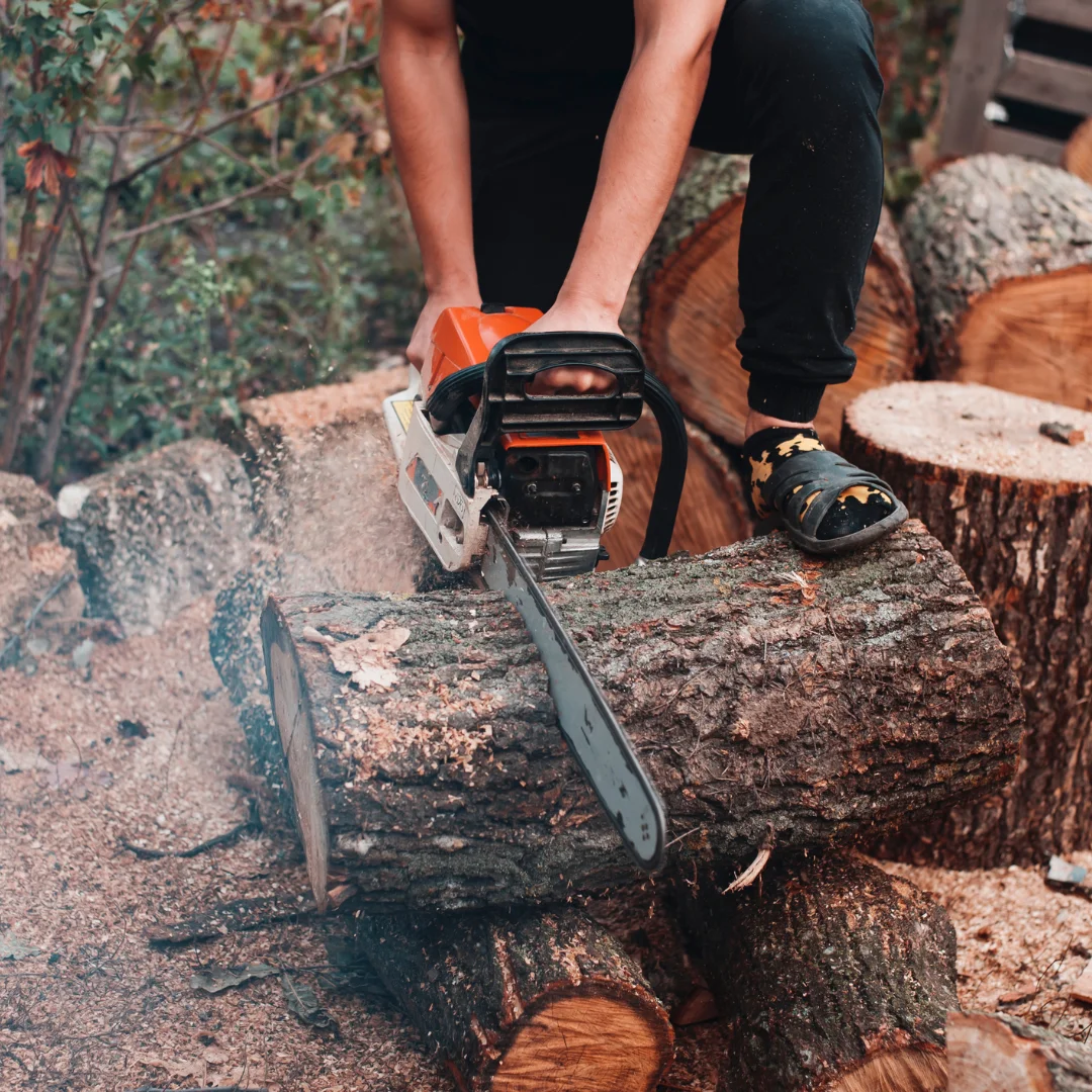 Manhattan Tree Removal gallery 7