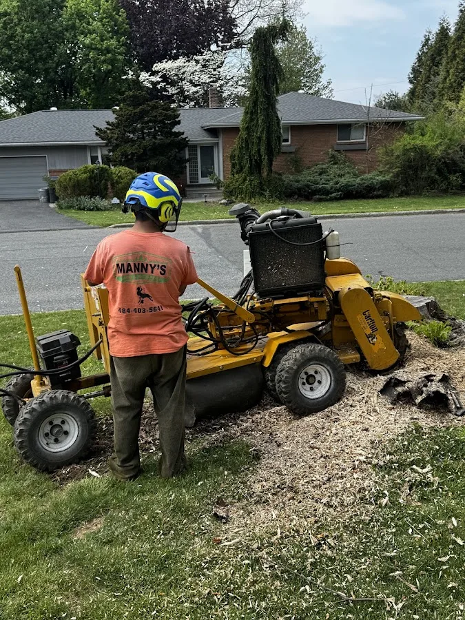 Manny's Lawn & Tree Service