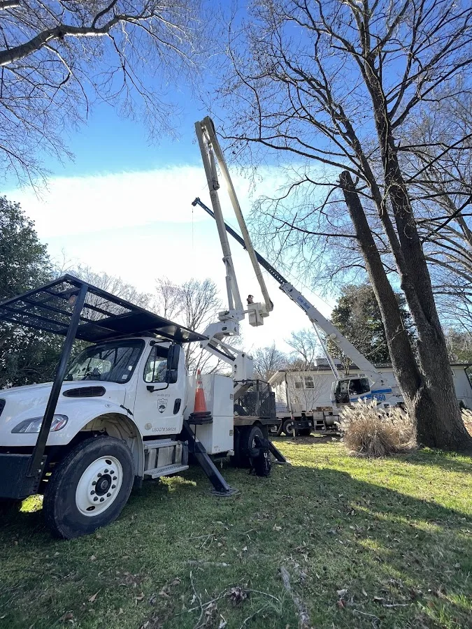 Marc's Tree Service gallery 2