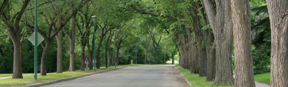 Marc's Tree Service gallery 6