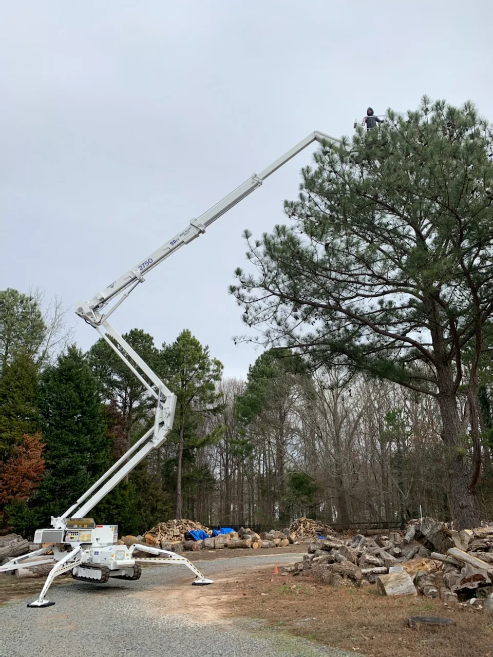 Marc's Tree Service gallery 7