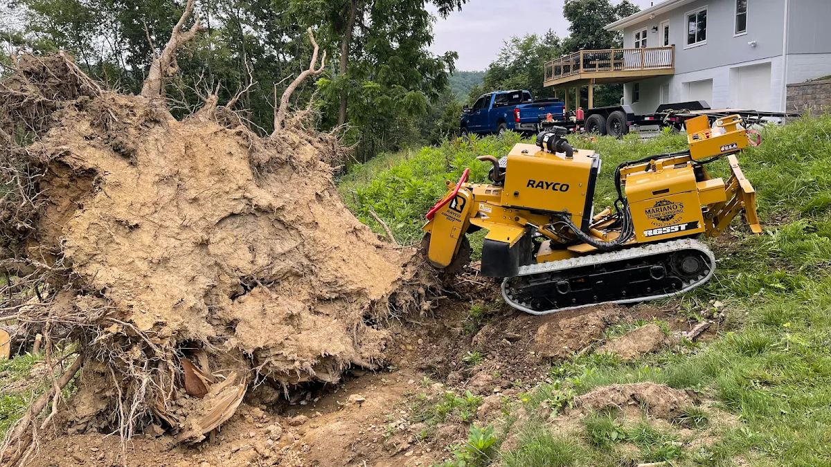 Mariano's Stump Grinding