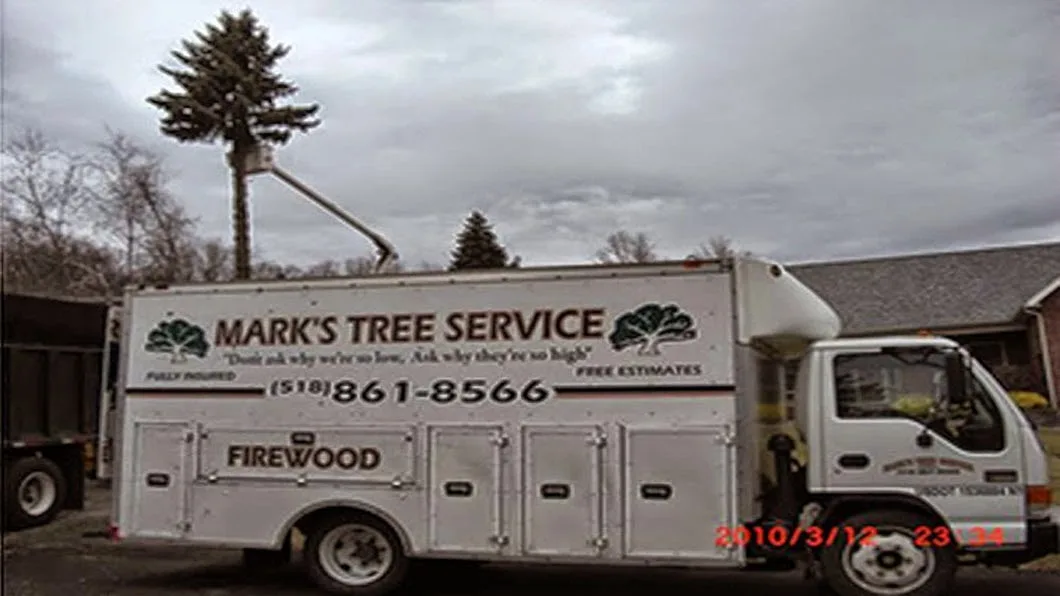 Mark’s Tree Service in Albany, NY: Questions That Tie Quotes to Access, Cleanup, and Stump Work