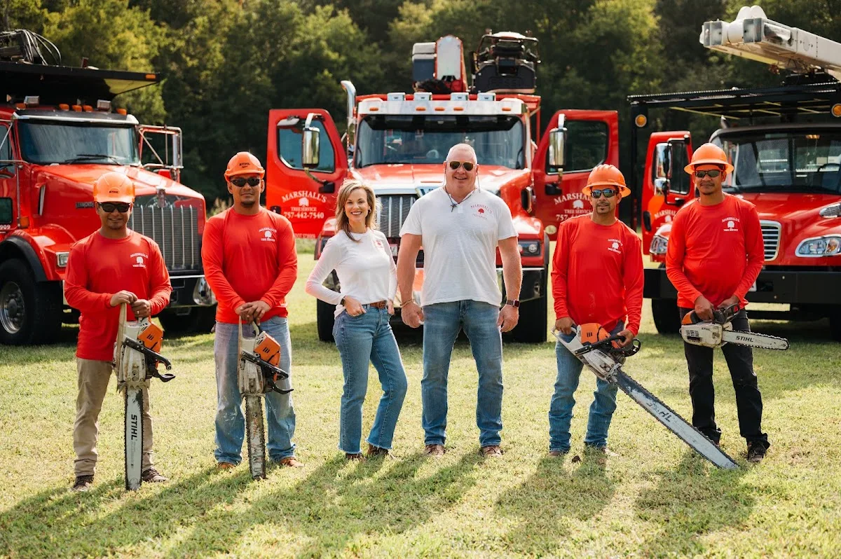 Marshall's Tree Service gallery 2