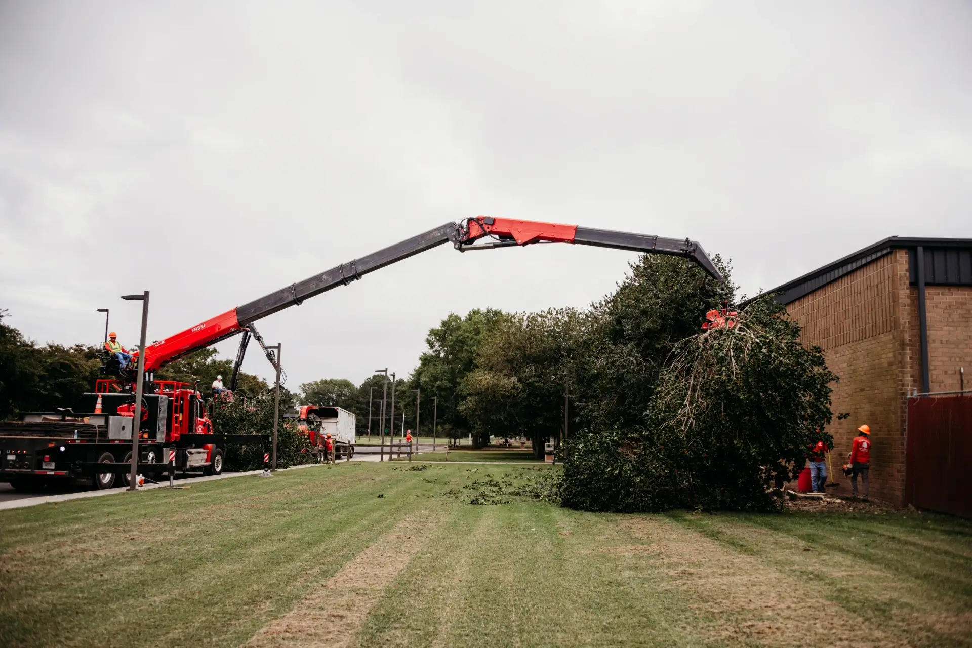 Marshall's Tree Service gallery 6