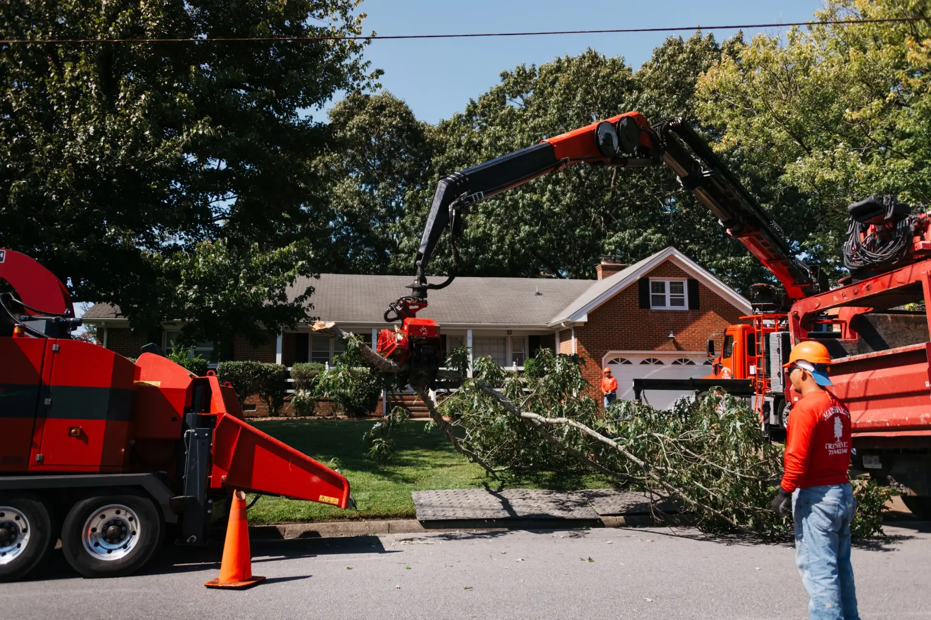 Marshall's Tree Service gallery 8