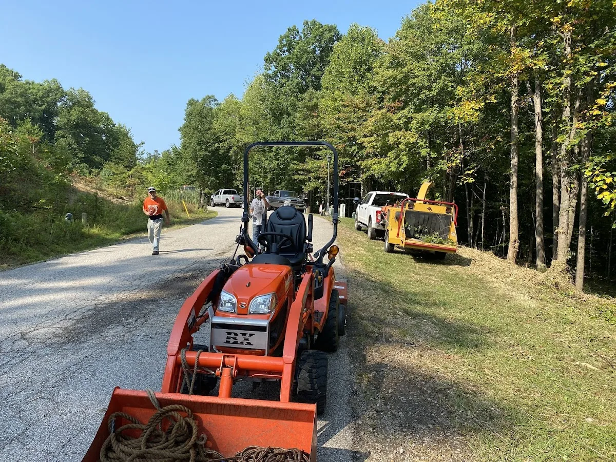 Martys Tree Service gallery 3