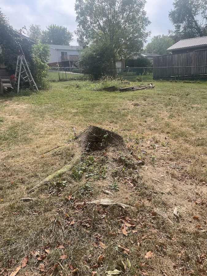 Martys Tree Service gallery 2