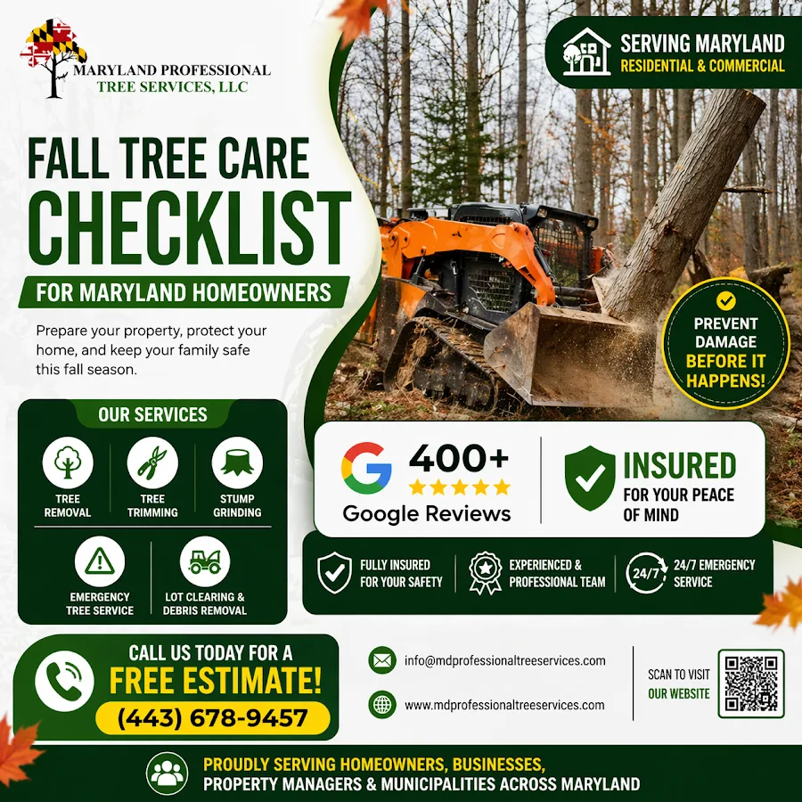 Maryland Professional Tree Services gallery 2