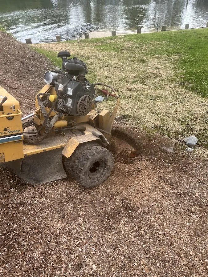 Matt G stump removal LLC