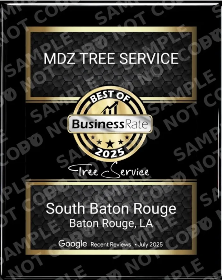 MDZ TREE SERVICE work site
