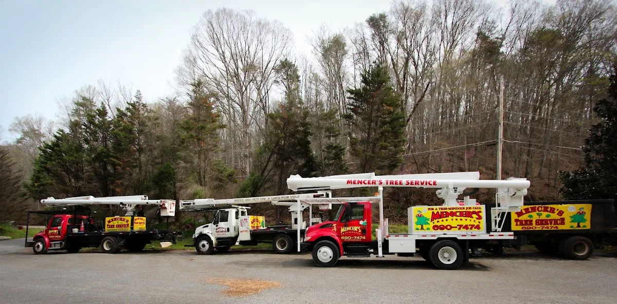 Mencer's Tree Service