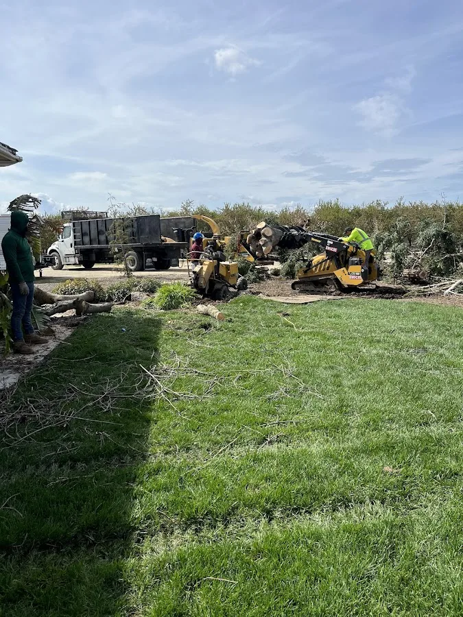 Mendez Brothers Tree Service