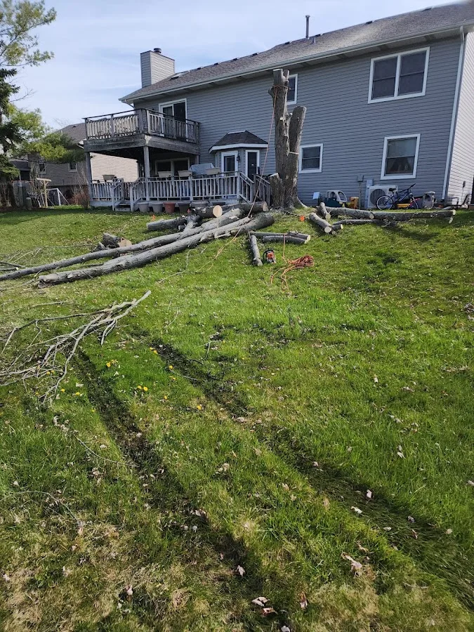 Mendez Tree Services