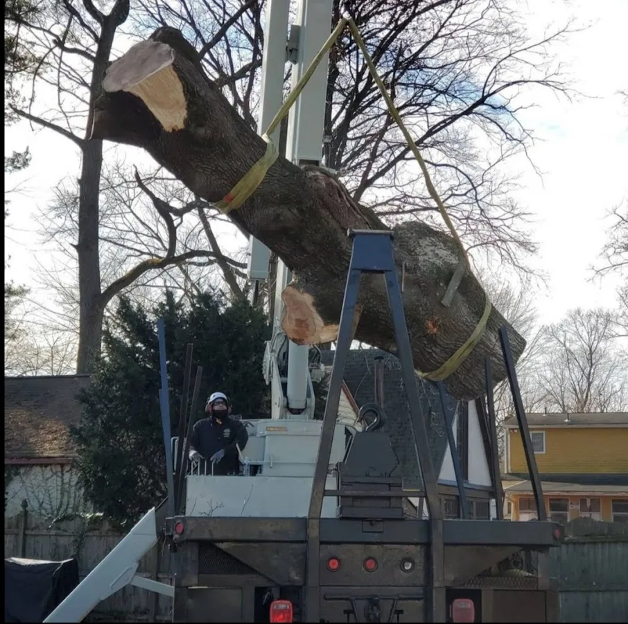 Mercados Landscape & Tree Service LLC