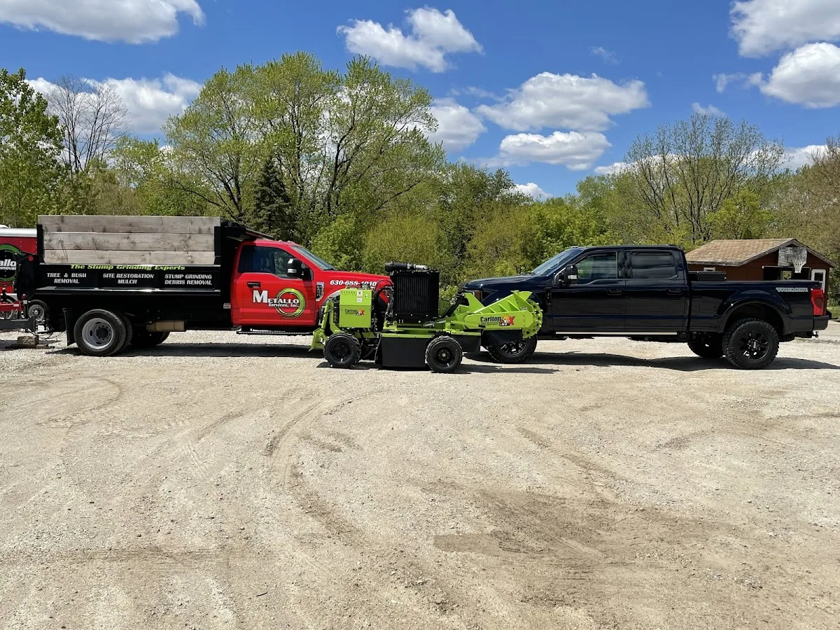 Metallo Stump Removal and Tree Services gallery 2