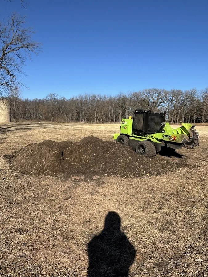 Metallo Stump Removal and Tree Services gallery 4