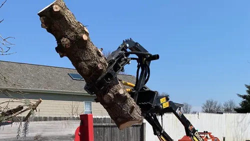 Metallo Stump Removal and Tree Services gallery 5